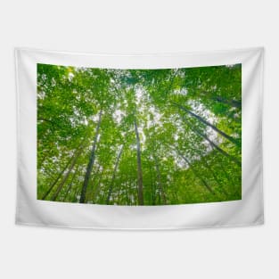 Blue Ridge Mountains Trees Tapestry