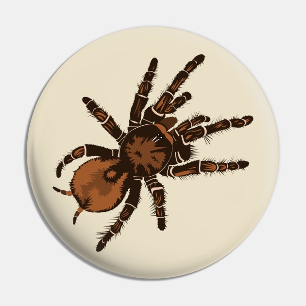 Goliath Bird Eating Spider Pin by stargatedalek