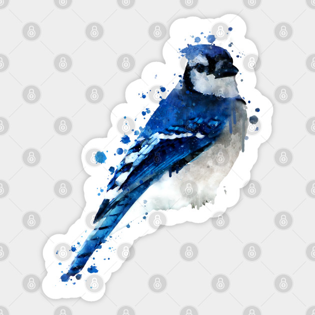 Watercolour Blue Jay Bird Artistic Animal Painting Watercolour