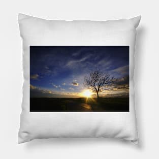 Sunset Tree Pillow