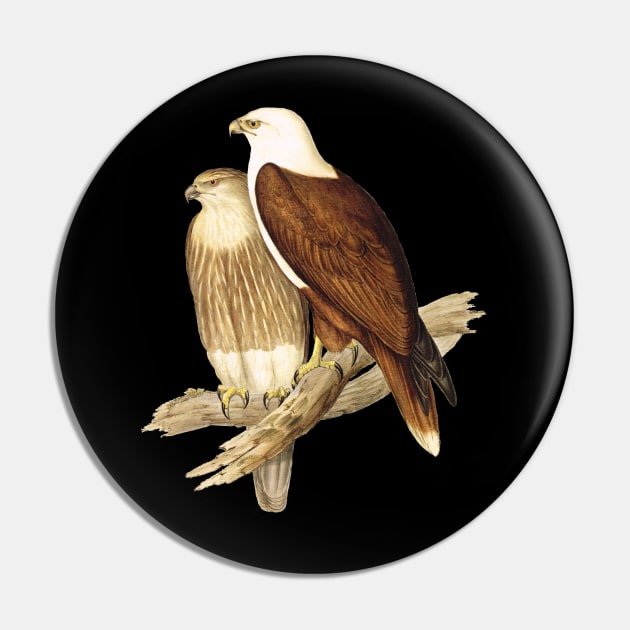 White Breasted Sea Eagle Pin by pickledpossums