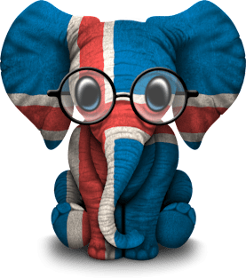 Baby Elephant with Glasses and Icelandic Flag Magnet