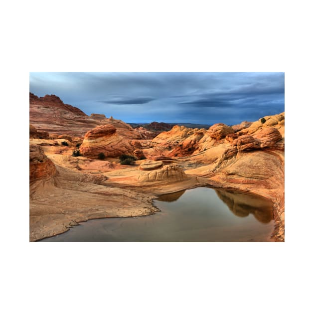 Northern Arizona Monsoon Pool by AdamJewell