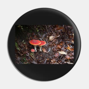 Fly Agaric Pin