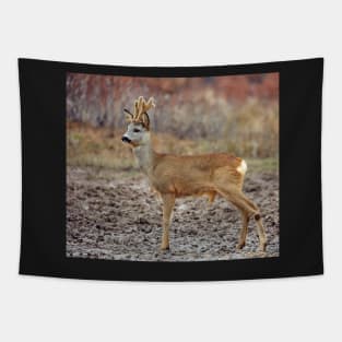 Roe deer family Tapestry