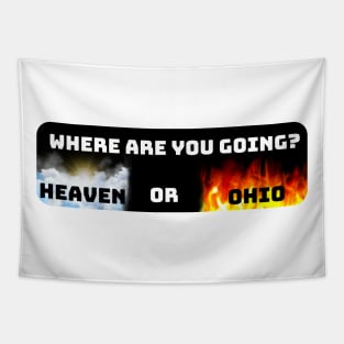 Where Are You Going Heaven Or Ohio Tapestry