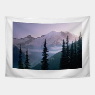 Mt Rainier As Seen At Sunrise Mt Rainier National Park Tapestry