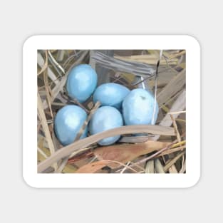 Nest of Blue Eggs Magnet