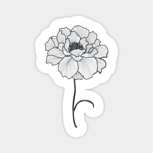 Minimal Flower Line Art Magnet