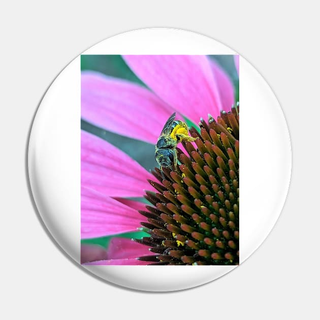 Busy Bee Pin by searchlight