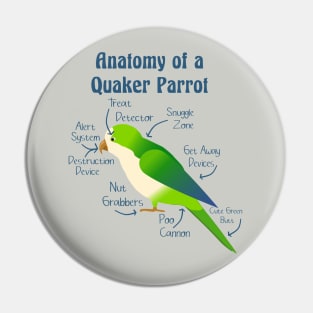 Anatomy of Quaker Parrot Monk Parakeet Pin