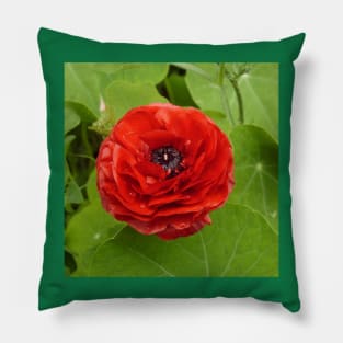 Ranunculus Pillow