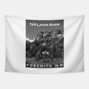 Ten Lakes Basin - Yosemite N.P. Tapestry