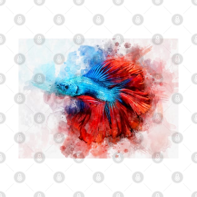 Blue Betta Fish with Red Tail watercolor by SPJE Illustration Photography