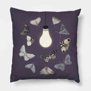 Moths to a Light Pillow