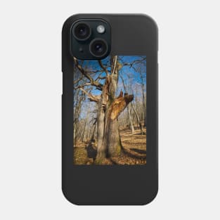 Huge oak tree Phone Case