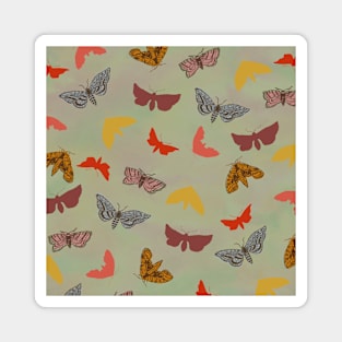 Vintage Butterflies & Moths Magnet