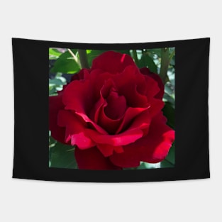 Red Rose Revolution of Love Tapestry