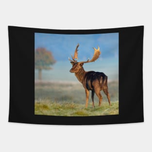 Dark Fallow Deer Tapestry