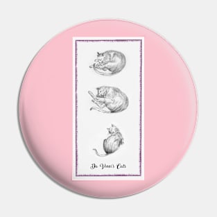 Da Vinci's Cats Pin