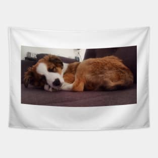 Charly Australian Shepherd Mix Tapestry