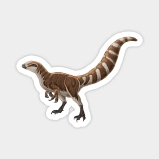 Sinosauropteryx prima Magnet