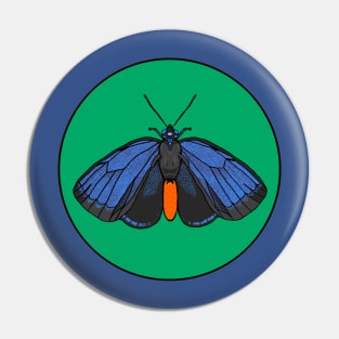 Atala Butterfly Pin