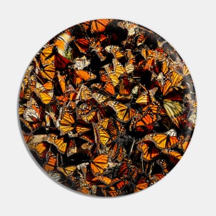 Monarch Butterfly Pin