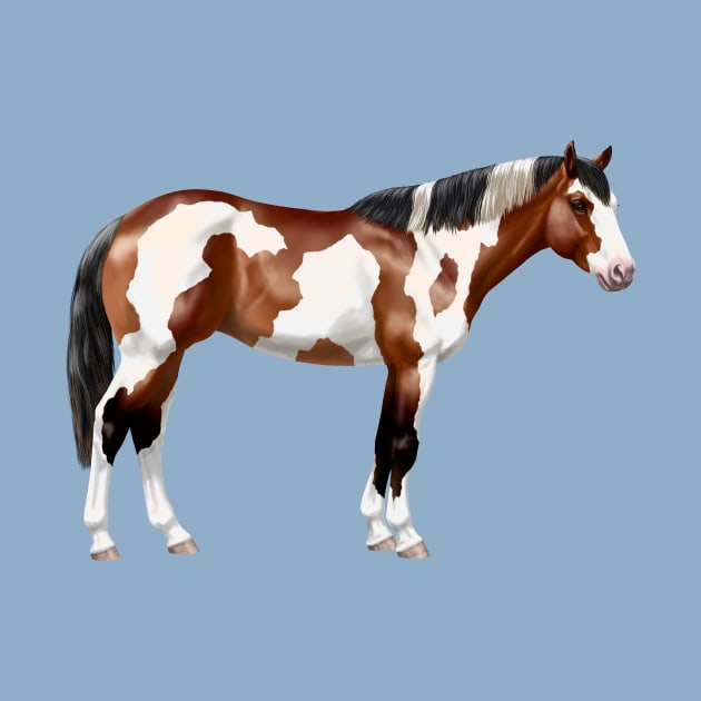 Brown Bay Tovero Pinto Paint Horse by csforest