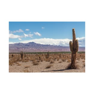 Cardón in Parque Nacional Los Cardones - Argentina T-Shirt