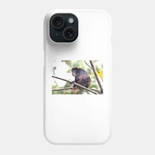 Howler monkeys - Costa Rica Phone Case