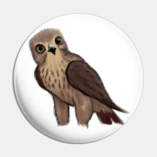 cute hawk drawing Pin