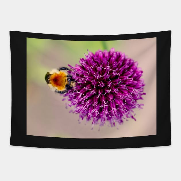 Pollen Collection Tapestry by captureasecond