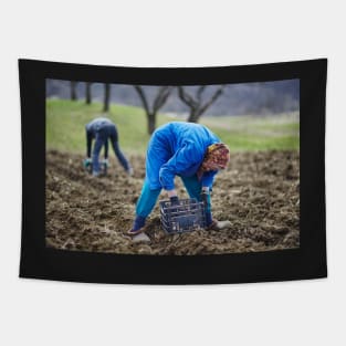 Family of peasants sowing potatoes Tapestry