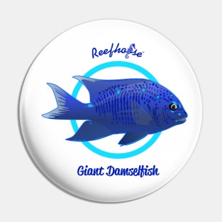 Giant Damselfish Pin