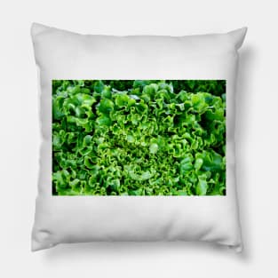 Lettuce Love Pillow