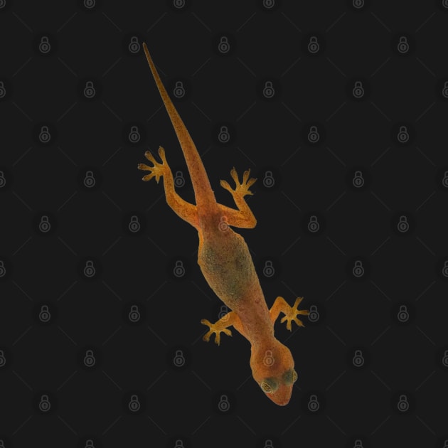 Golden Glowing Gecko by Head Blaze