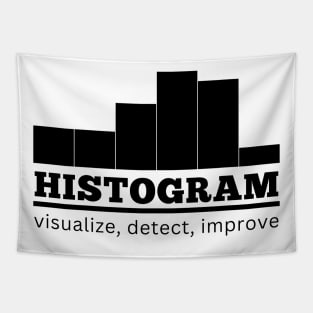 Histogram, Statistics to improve by Tapestry