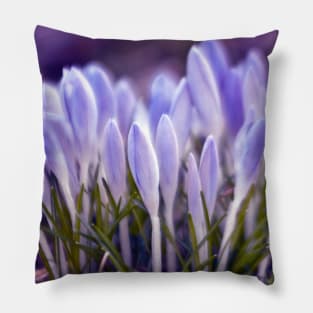 Violet Poetry of Spring Pillow