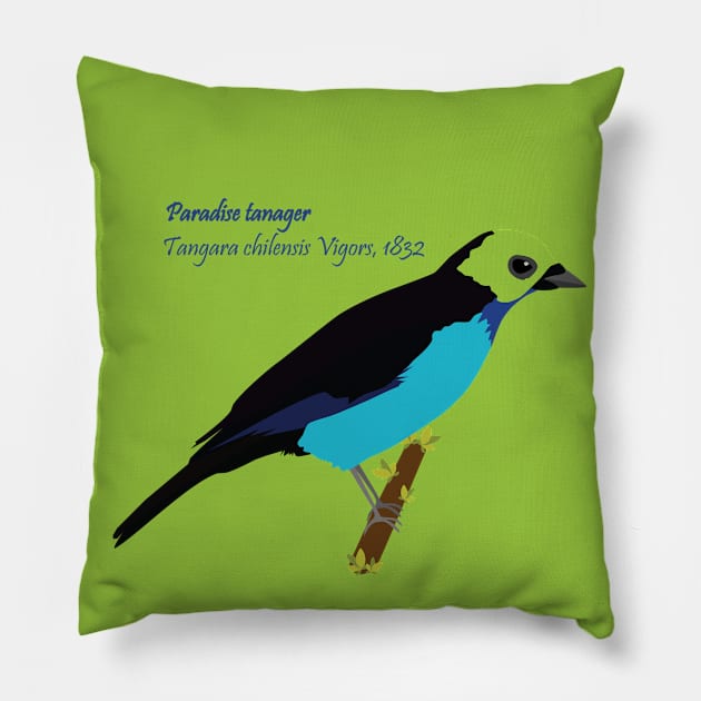 Paradise tanager bird Pillow by uncutcreations