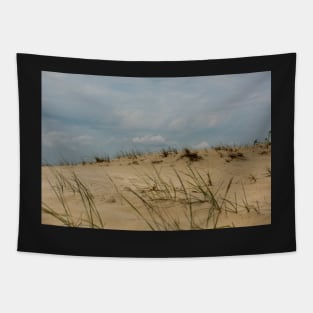 Sand dunes in Letea forest , in the Danube Delta area, Romania, in a sunny summer day Tapestry