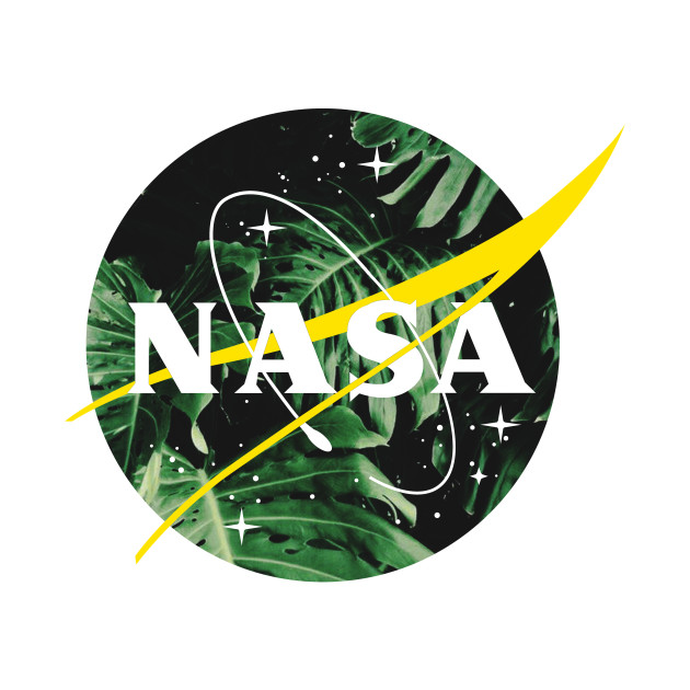 aesthetic nasa logo aesthetic nasa long sleeve t shirt teepublic