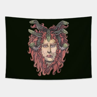 Medusa's Plight Tapestry