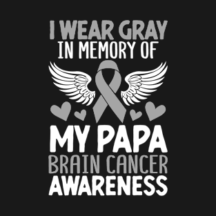 I Wear Gray for My Papa Brain Cancer Awareness Gray Ribbon T-Shirt