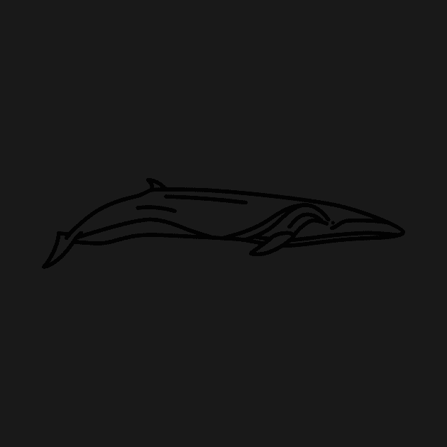Sei Whale by Radradrad