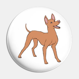 Cirneco dell'Etna (Doggust 2022) Pin