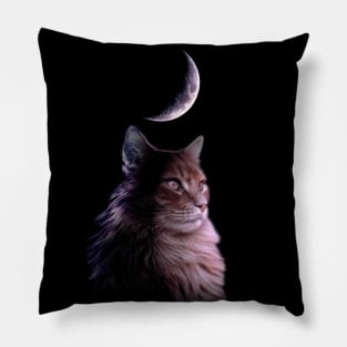 Moon Cat Pillow