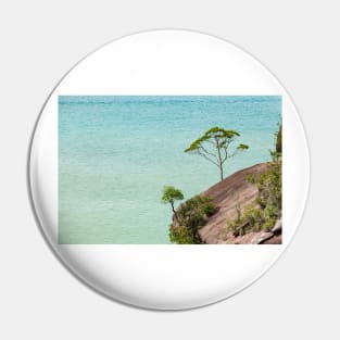 Small tree and big vast ocean scenery Pin