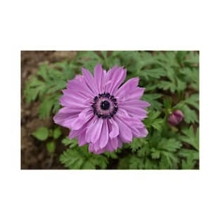 Pink flower on a summer day T-Shirt