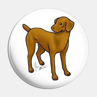 Dog - Vizsla - Smooth Coat Pin